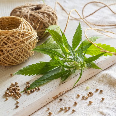 Cannabis Santal Αρωματικό Έλαιο 