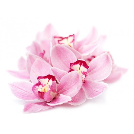 Orchidea Cashmire  Αρωματικό Ελαιο 