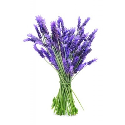 Lavender Αρωματικό Έλαιο 