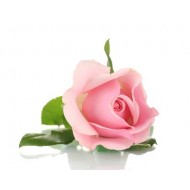 Pink Rose Αρωματικό Έλαιο 